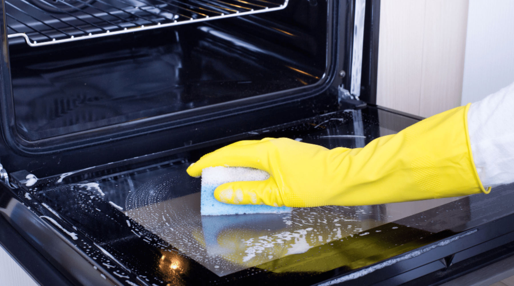 How to Clean and Care for your Kitchen Appliances