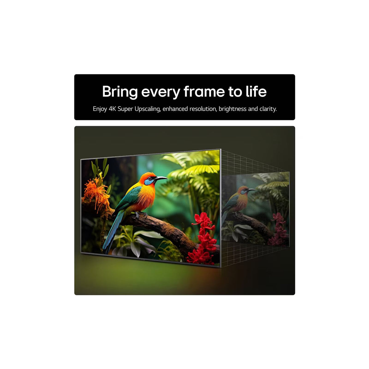 LG UA73 43" 4K Smart TV | 43UA73006LA.AEKQ from LG - DID Electrical