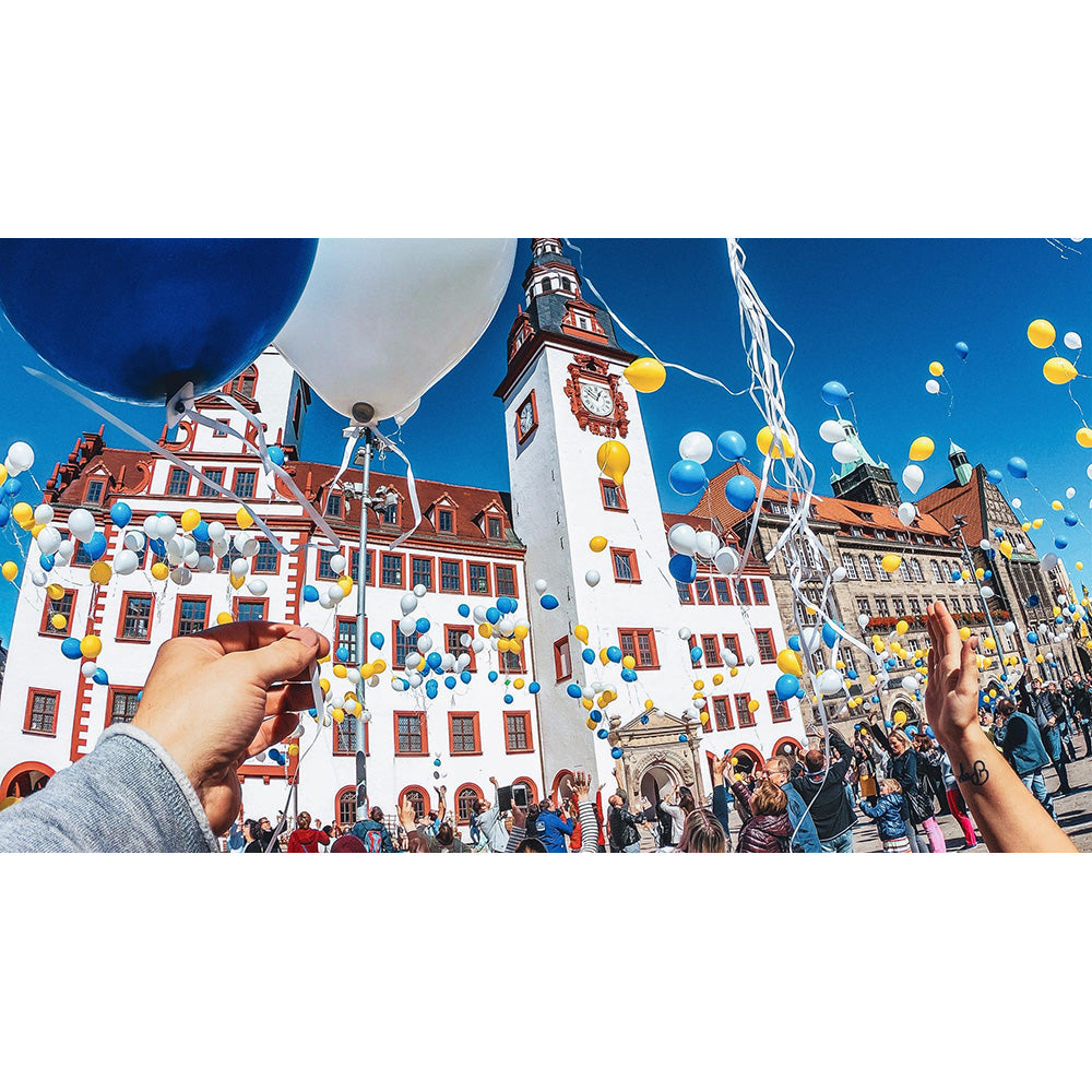 GoPro 2.0 Camera Head Strap and Clip Mount | ACHOM-002 from GoPro - DID Electrical