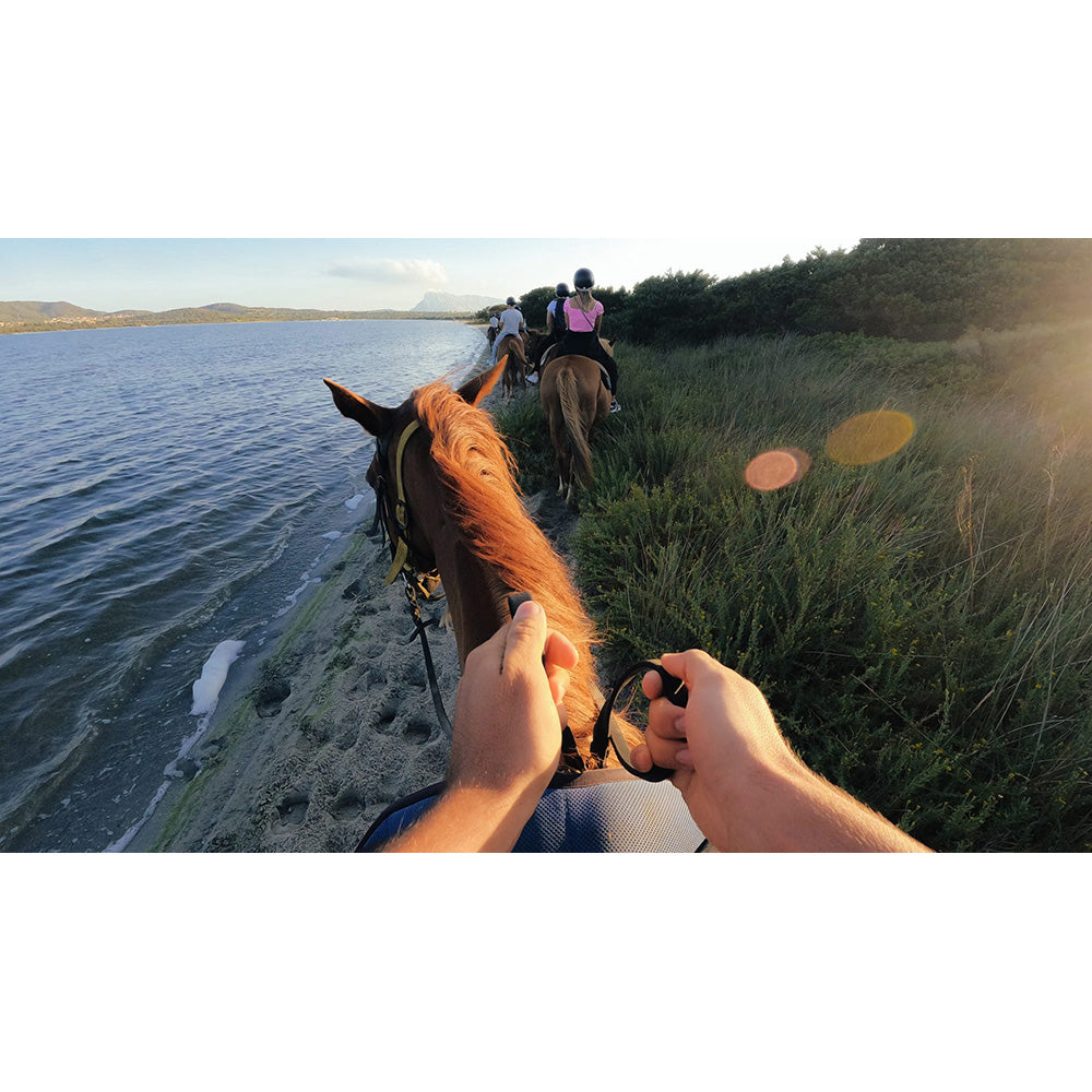 GoPro 2.0 Camera Head Strap and Clip Mount | ACHOM-002 from GoPro - DID Electrical