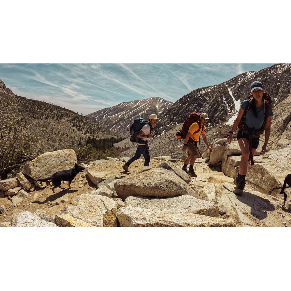 GoPro Shorty Camera Mini Extension Pole + Tripod | AFTTM-001 from GoPro - DID Electrical