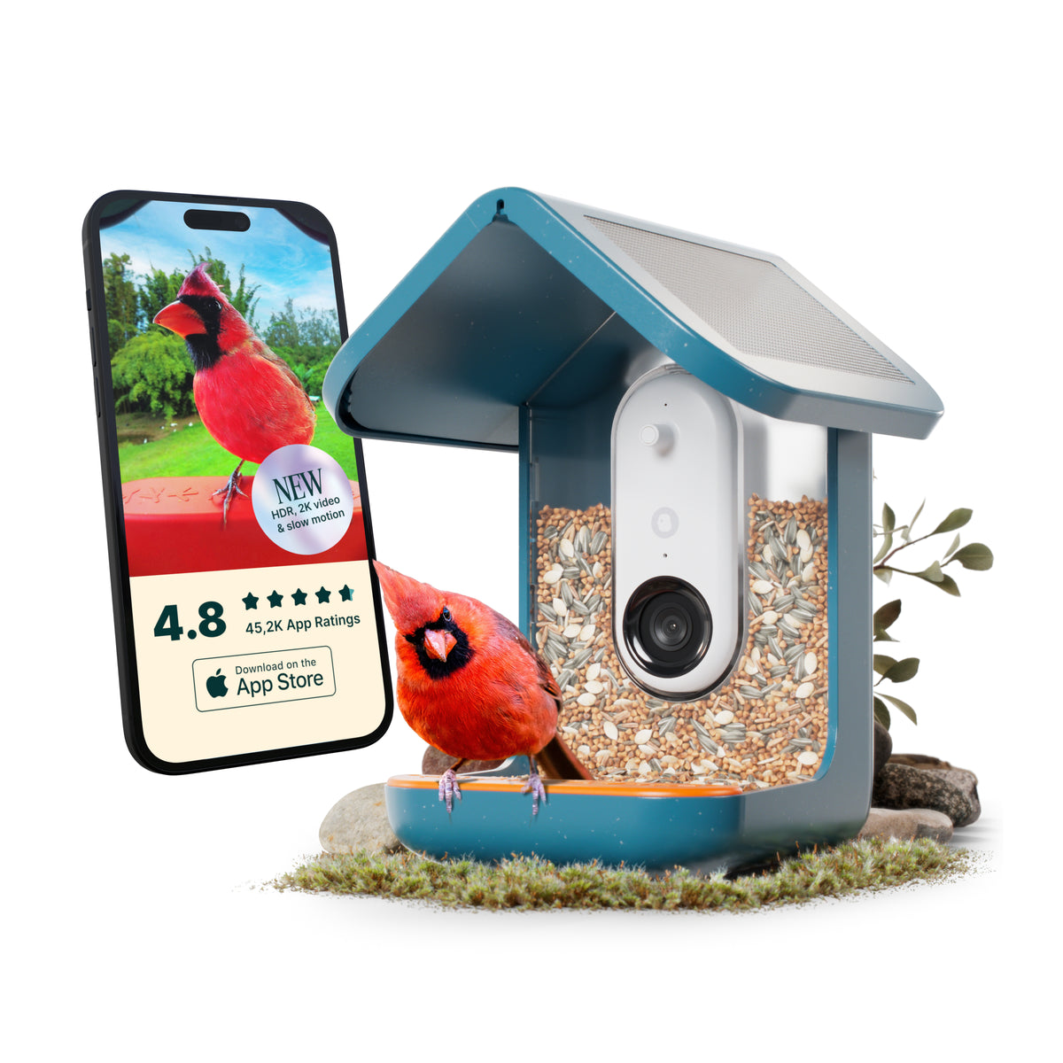 Birdbuddy Smart Bird Feeder - Blue | BBG1003BAD from Birdbuddy - DID Electrical