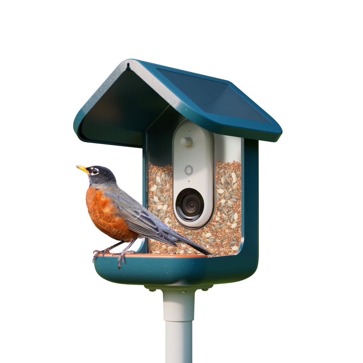 Birdbuddy Smart Bird Feeder - Blue | BBG1003BAD from Birdbuddy - DID Electrical