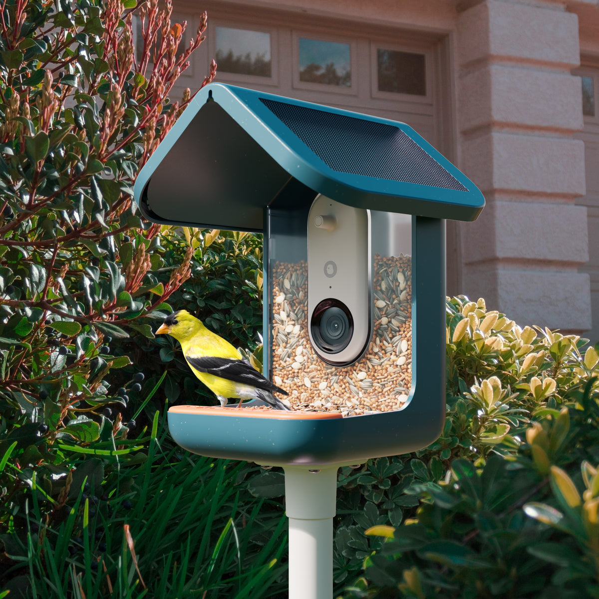 Birdbuddy Smart Bird Feeder - Blue | BBG1003BAD from Birdbuddy - DID Electrical