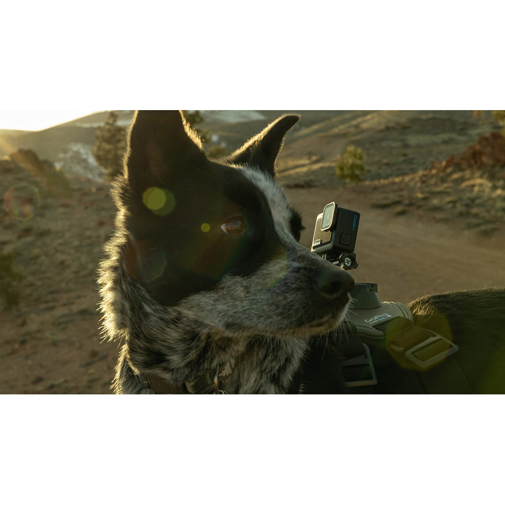 GoPro HERO Action Camera - Black | CHDHF-131-EU from GoPro - DID Electrical