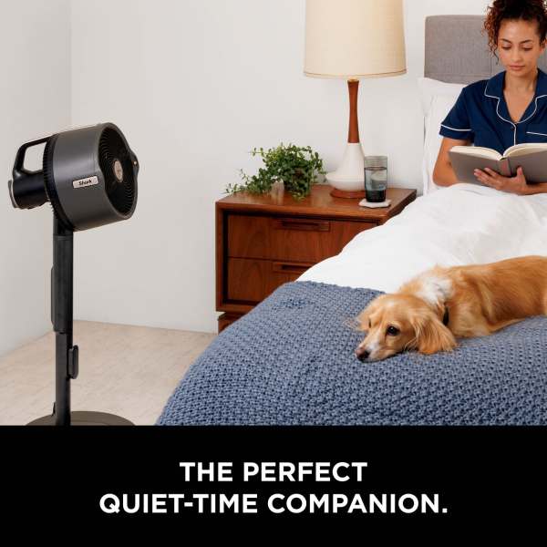 Shark FlexBreeze Pro Indoor & Outdoor Mist Fan - Charcoal Grey | FA300UK from Shark - DID Electrical