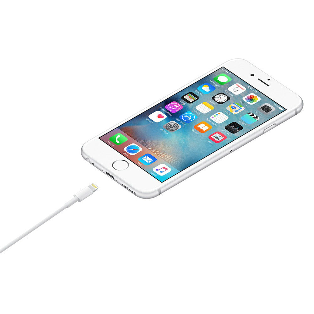 Apple 0.5M USB to Lightning Cable - White | ME291ZM/A from Apple - DID Electrical