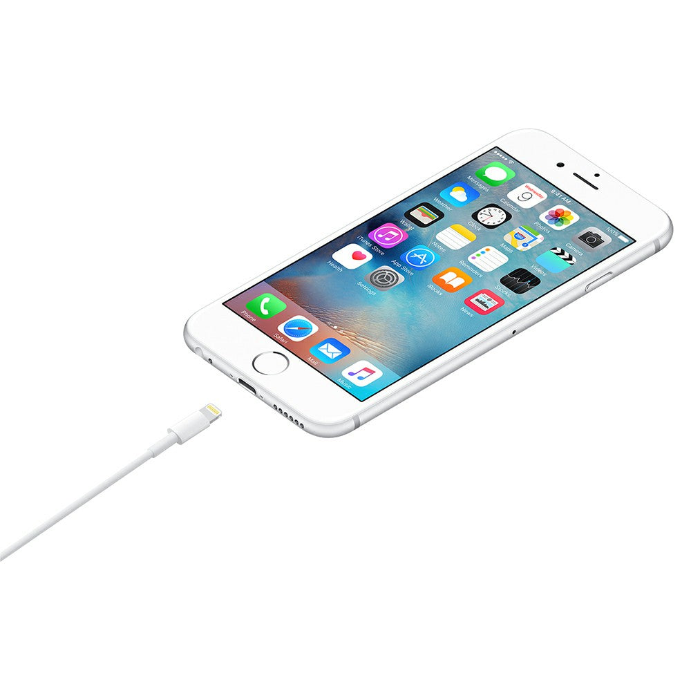 Apple 1M USB to Lightning Cable - White | MUQW3ZM/A from Apple - DID Electrical