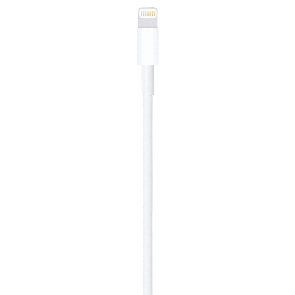 Apple 1M USB to Lightning Cable - White | MUQW3ZM/A from Apple - DID Electrical