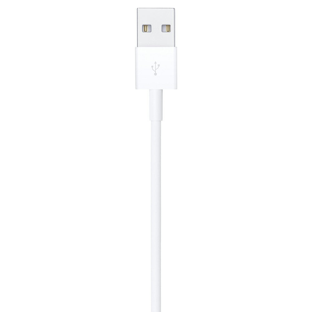 Apple 1M USB to Lightning Cable - White | MUQW3ZM/A from Apple - DID Electrical