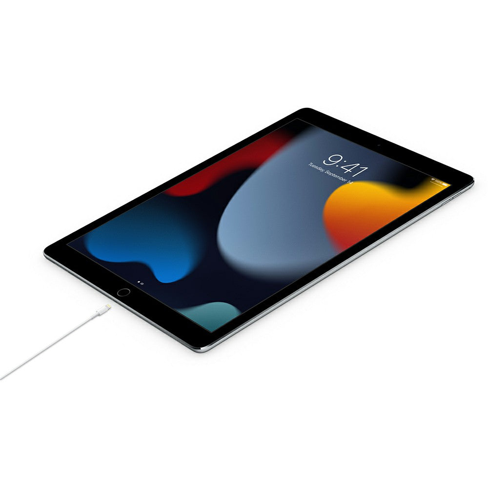 Apple 2M USB-C to Lightning Cable - White | MW2R3ZM/A from Apple - DID Electrical