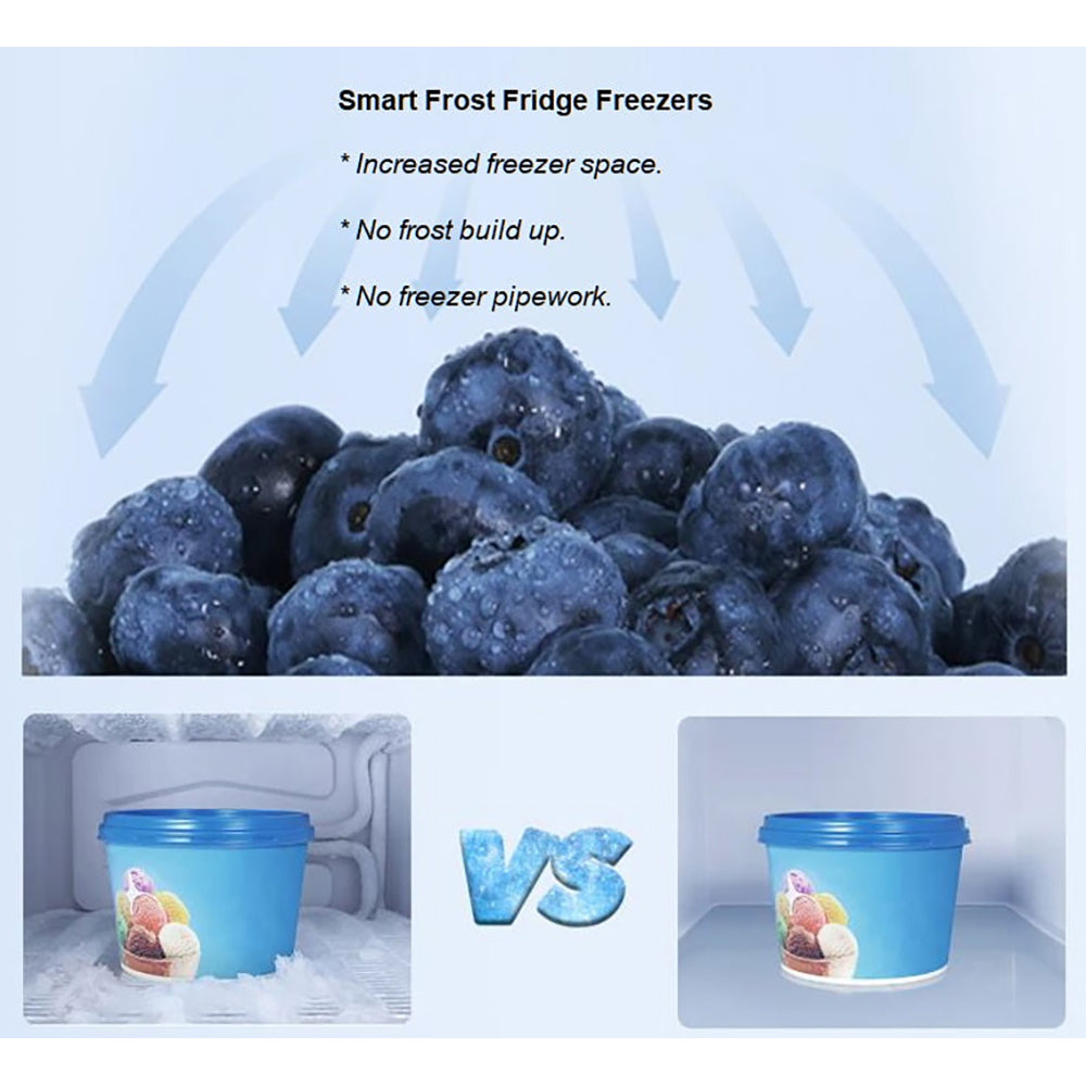 Thor 205L Smart Frost Freestanding Fridge Freezer - Stainless Steel | T65514MSFX-E from Thor - DID Electrical