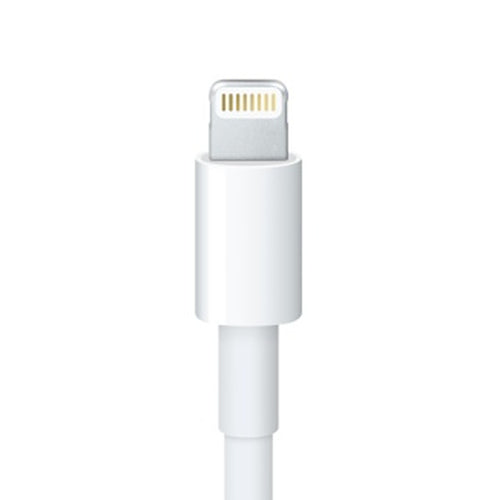 Apple 20CM Lightning to 30-Pin Adapter Cable - White | MD824ZM/A from Apple - DID Electrical