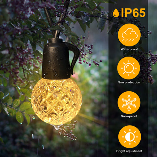 Secret Garden Collection Leora 15M LED Garden String Lights - Black | GL15WW (7553815150780)
