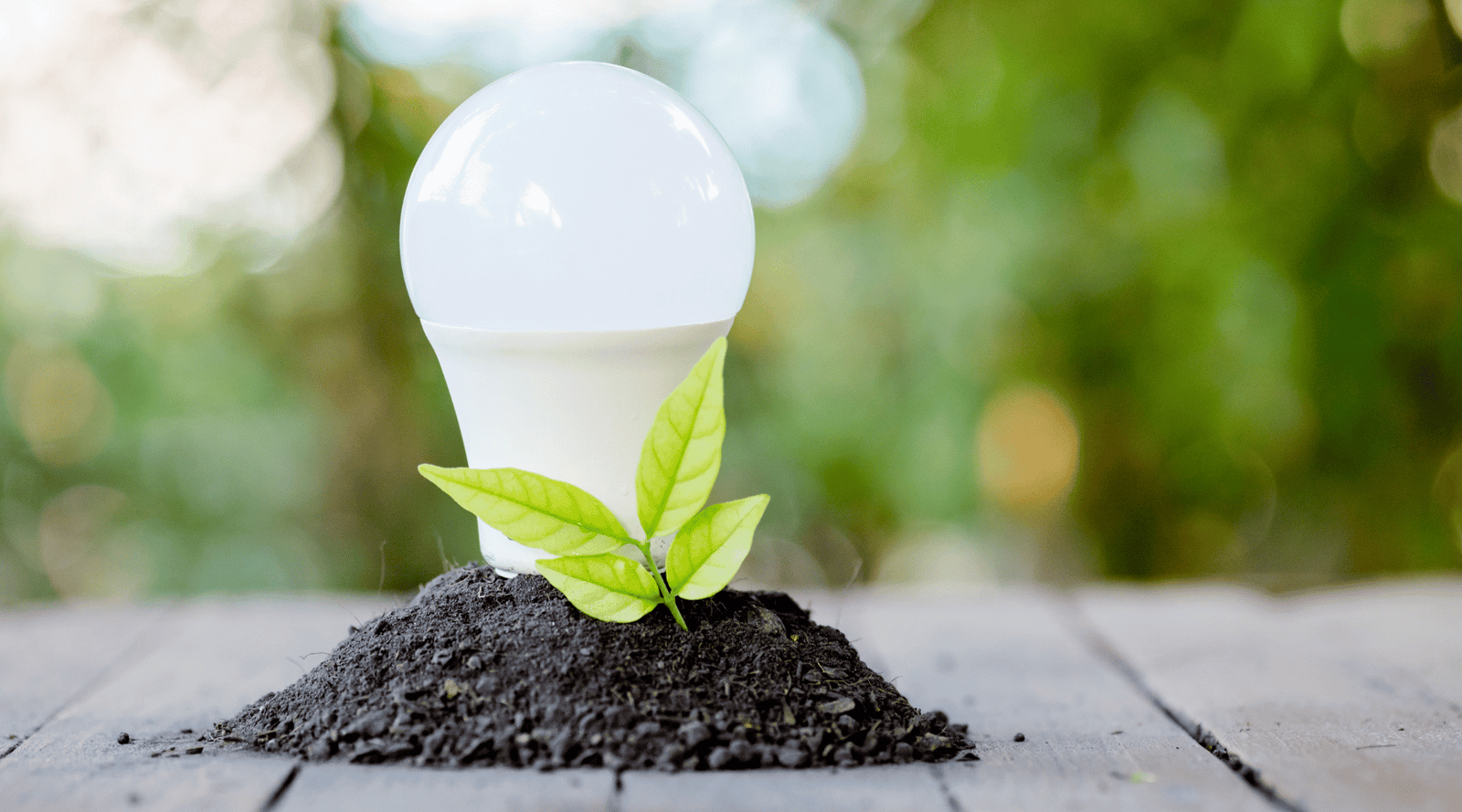 The Benefits of LED Lighting ()