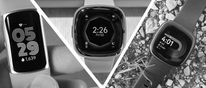 Guide to Fitbit 2025
