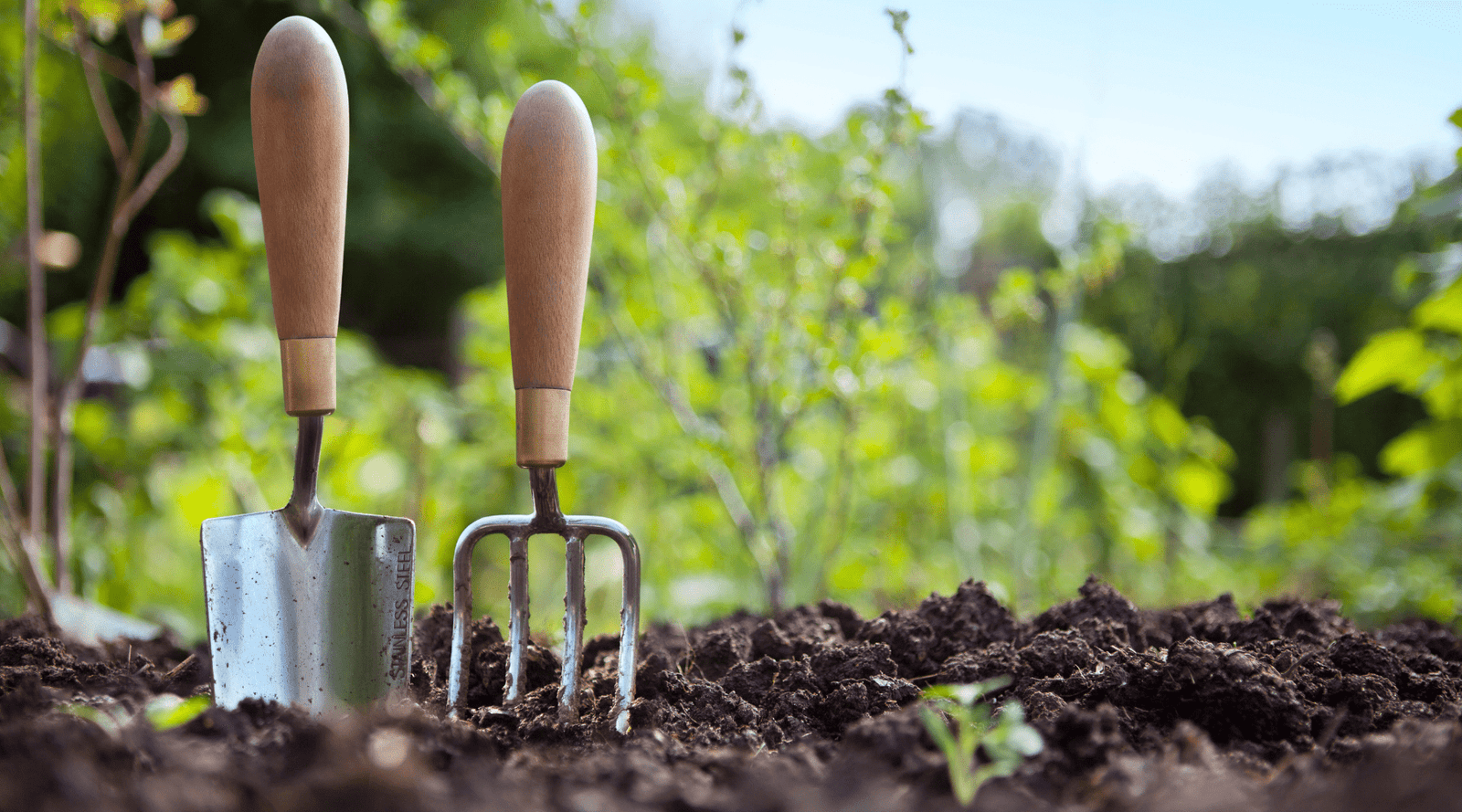 Spruce up for Summer | New Garden Gadgets ()