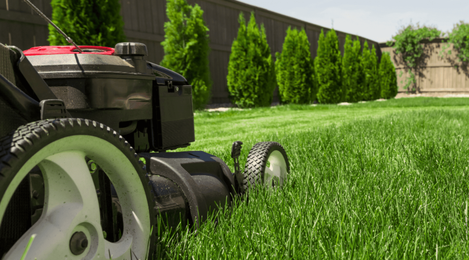 The DID How To Guide; Get your Garden Ready for Summer ()