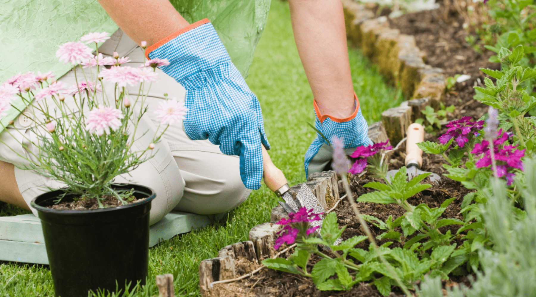 The Quick and Easy Guide to Gardening Greatness this Summer