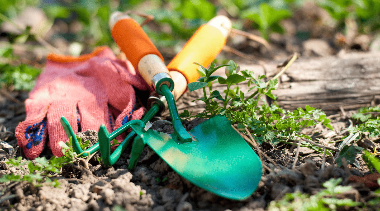 The Ultimate Garden Equipment Maintenance Guide ()