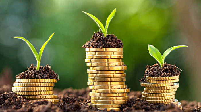 How to Save Money on your Energy Bills