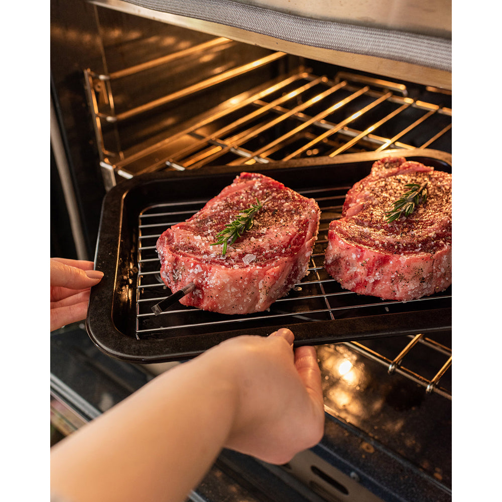 MEATER Plus Wireless Smart Meat Thermometer | 118-RT3-MT-MP01 from MEATER - DID Electrical