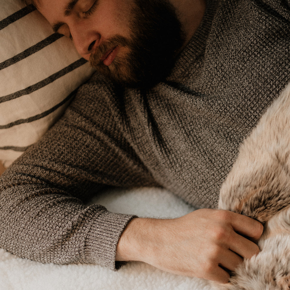 Dreamland Hunker Down Scandi Sherpa Single Underblanket with Single Controller - White | 16694C from Dreamland - DID Electrical