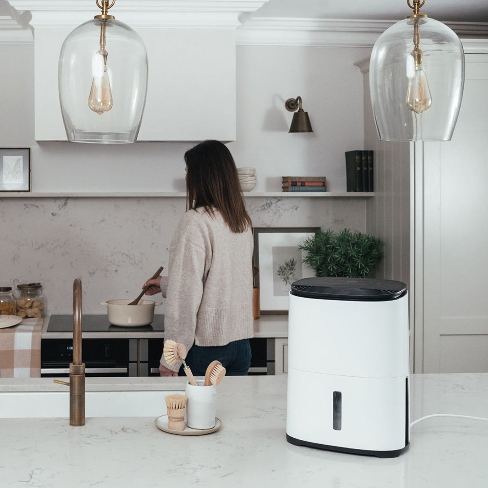 Meaco MeacoDry Arete One 6L Compact Air Purifier and Dehumidifier - White | 44002/ARETE from Meaco - DID Electrical