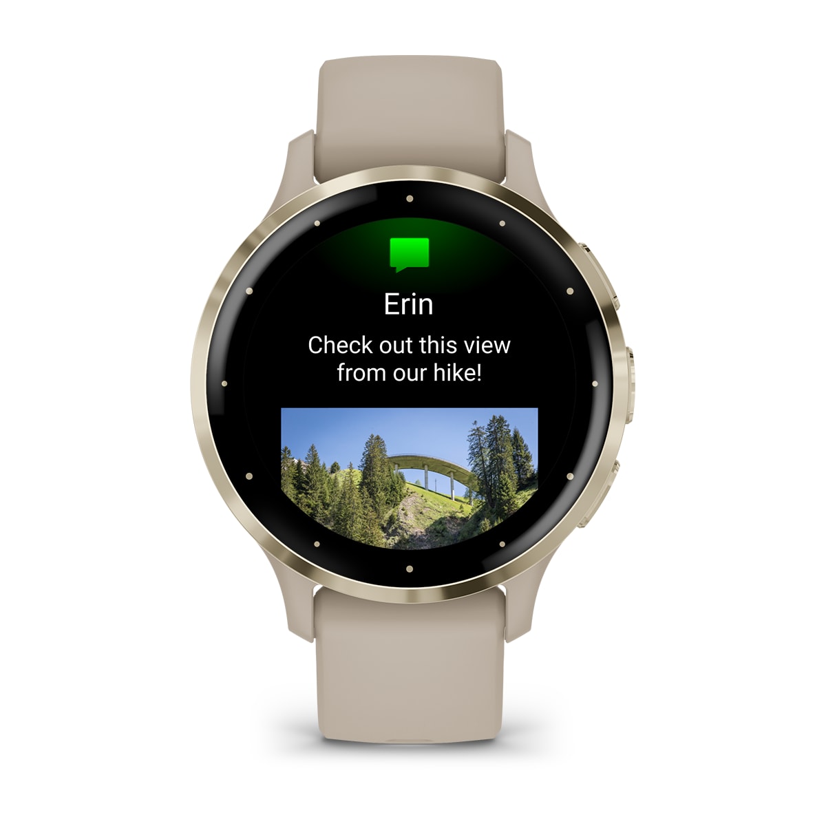Garmin Venu 3S Soft Gold Stainless Steel Bezel Silicone Band - French Grey | 49-GAR-010-02785-02 from Garmin - DID Electrical