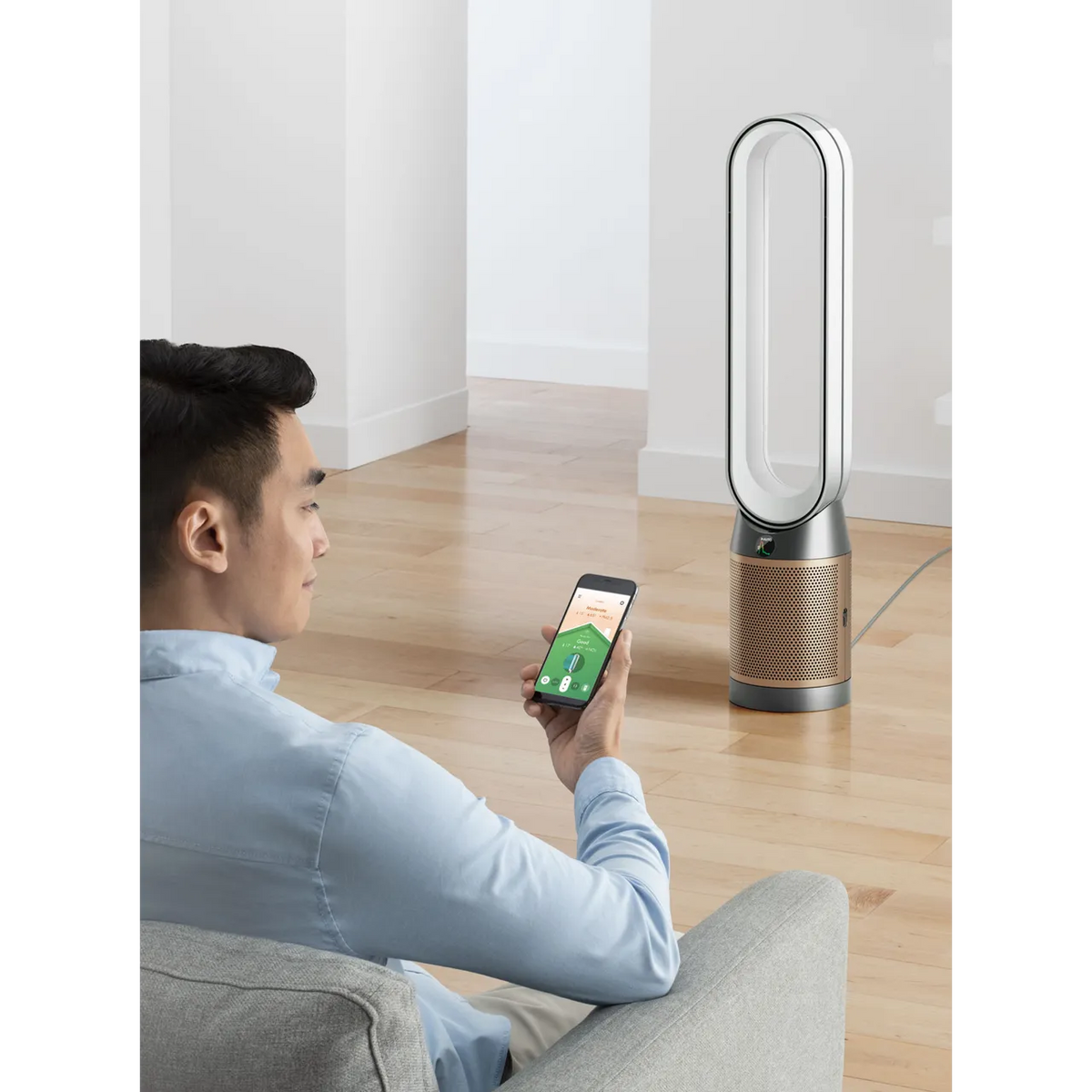 Dyson Cool PC2 Air Purifier - White & Gold | 544535-01 from Dyson - DID Electrical