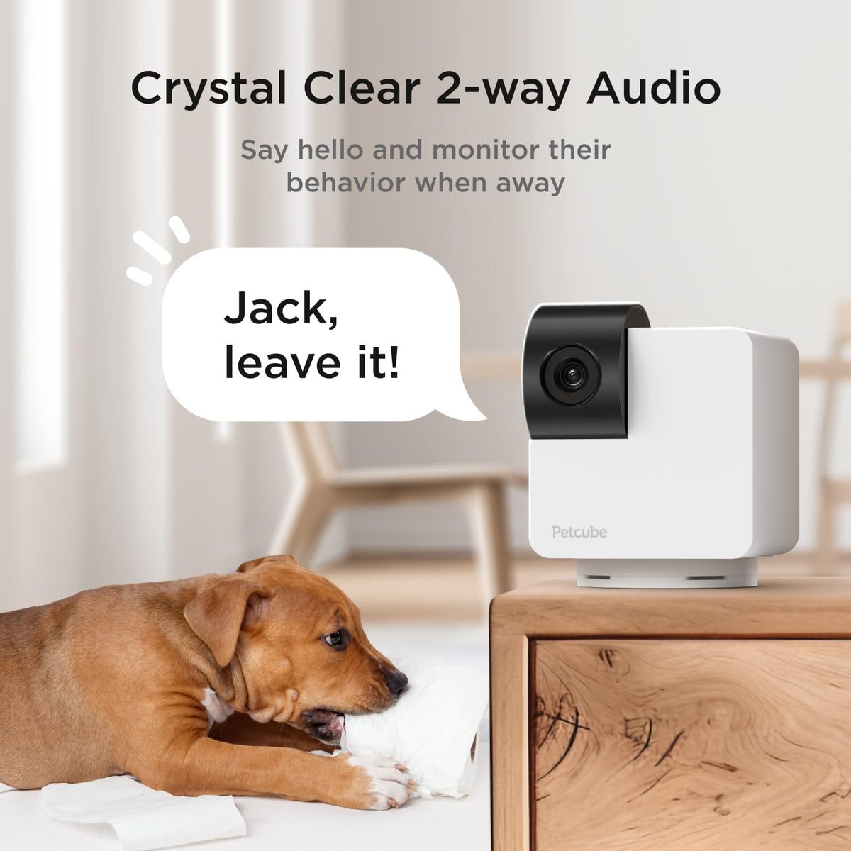 Petcube 360 Camera for Pet - White | 854592007523 from Petcube - DID Electrical