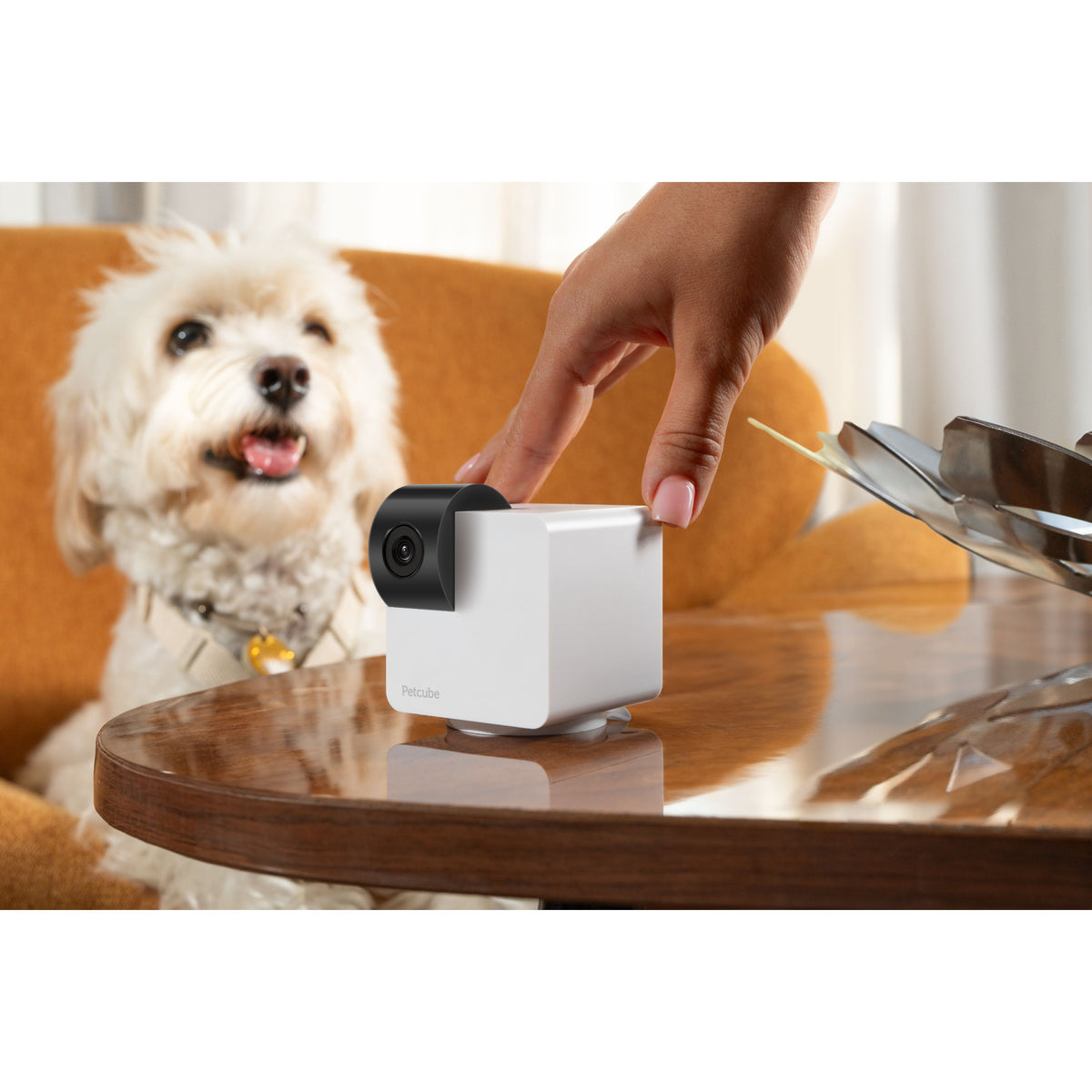 Petcube 360 Camera for Pet - White | 854592007523 from Petcube - DID Electrical