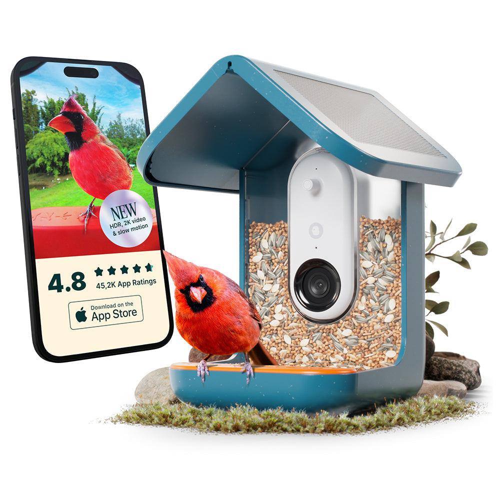 Birdbuddy Smart Bird Feeder - Blue | BBG1003BAD from Birdbuddy - DID Electrical
