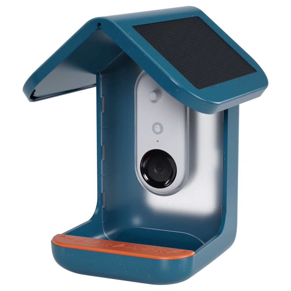 Birdbuddy Smart Bird Feeder - Blue | BBG1003BAD from Birdbuddy - DID Electrical