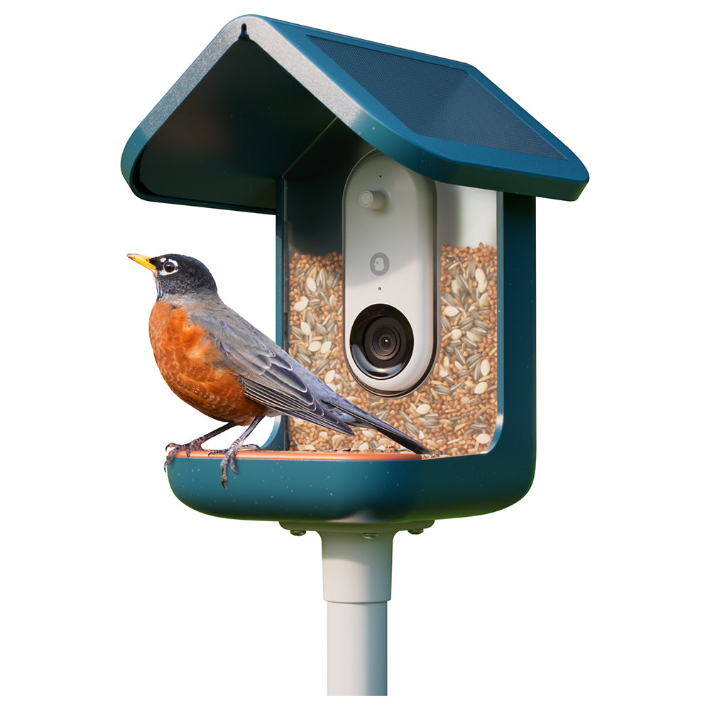Birdbuddy Smart Bird Feeder - Blue | BBG1003BAD from Birdbuddy - DID Electrical