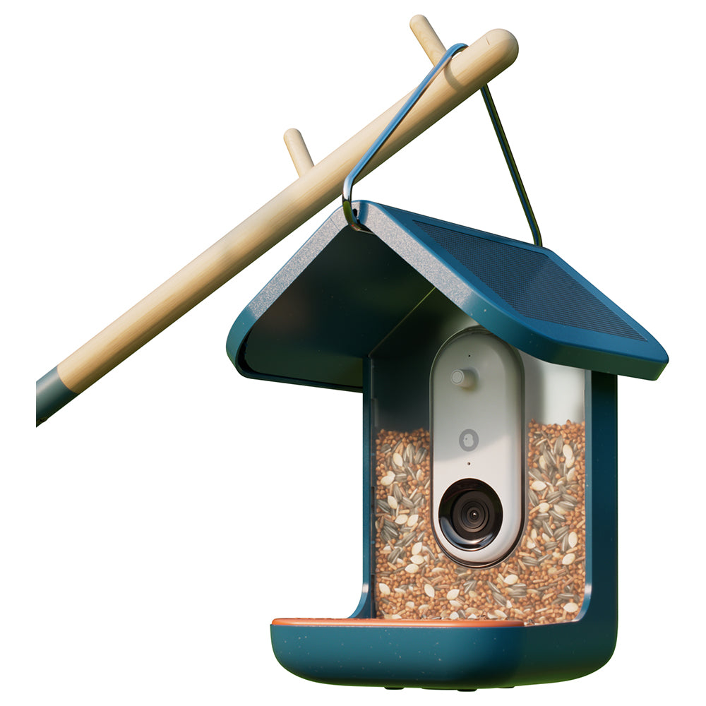 Birdbuddy Smart Bird Feeder - Blue | BBG1003BAD from Birdbuddy - DID Electrical