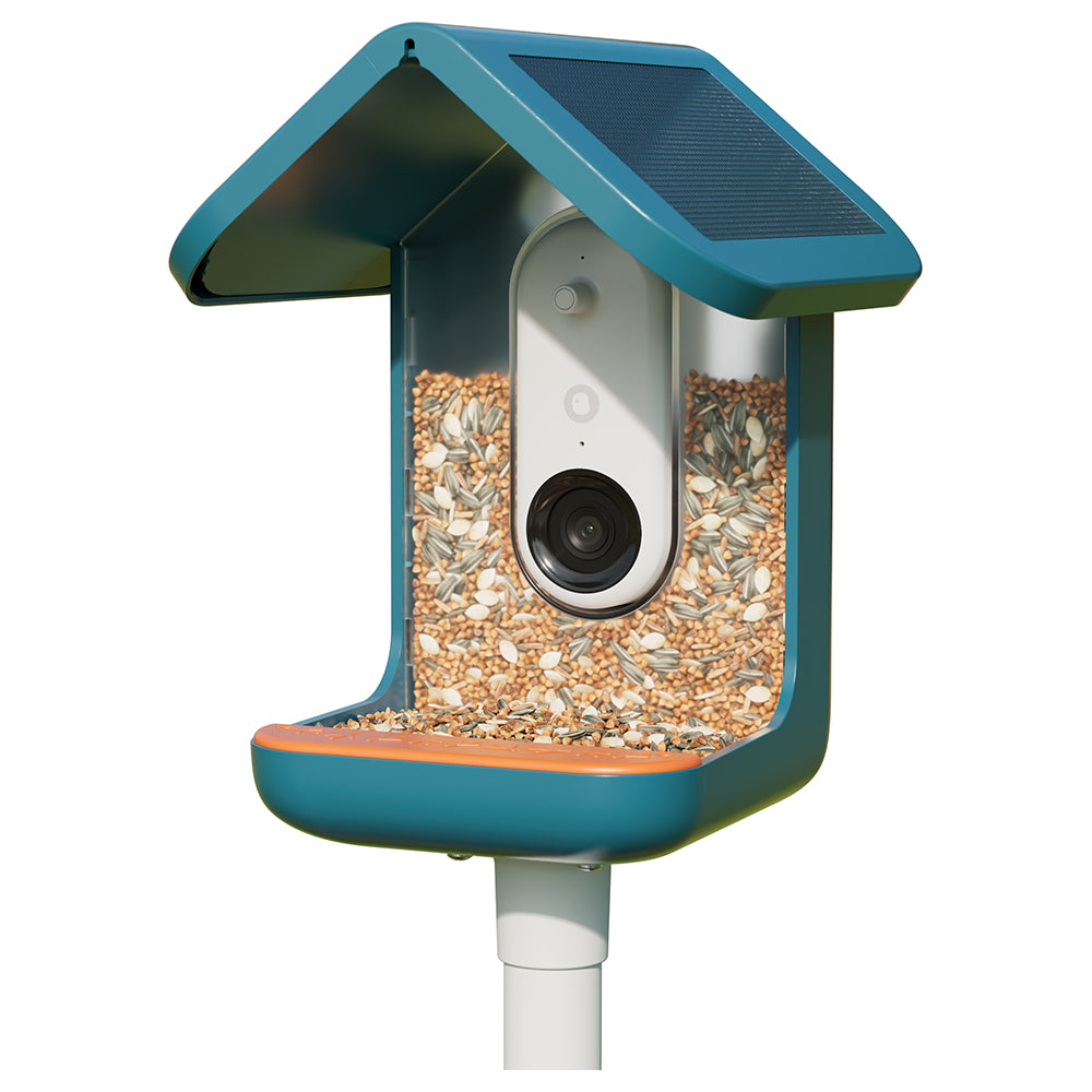 Birdbuddy Smart Bird Feeder - Blue | BBG1003BAD from Birdbuddy - DID Electrical