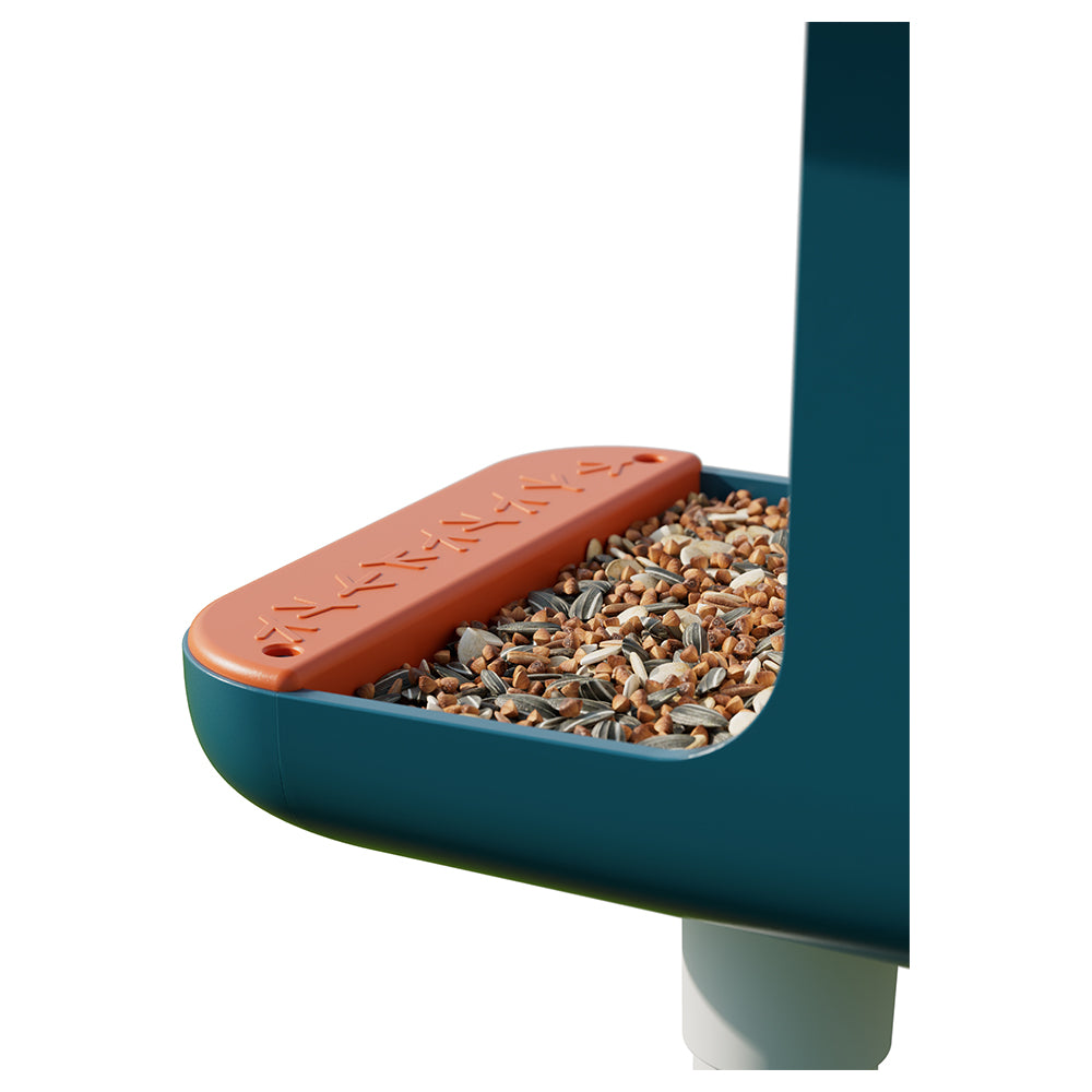 Birdbuddy Smart Bird Feeder - Blue | BBG1003BAD from Birdbuddy - DID Electrical