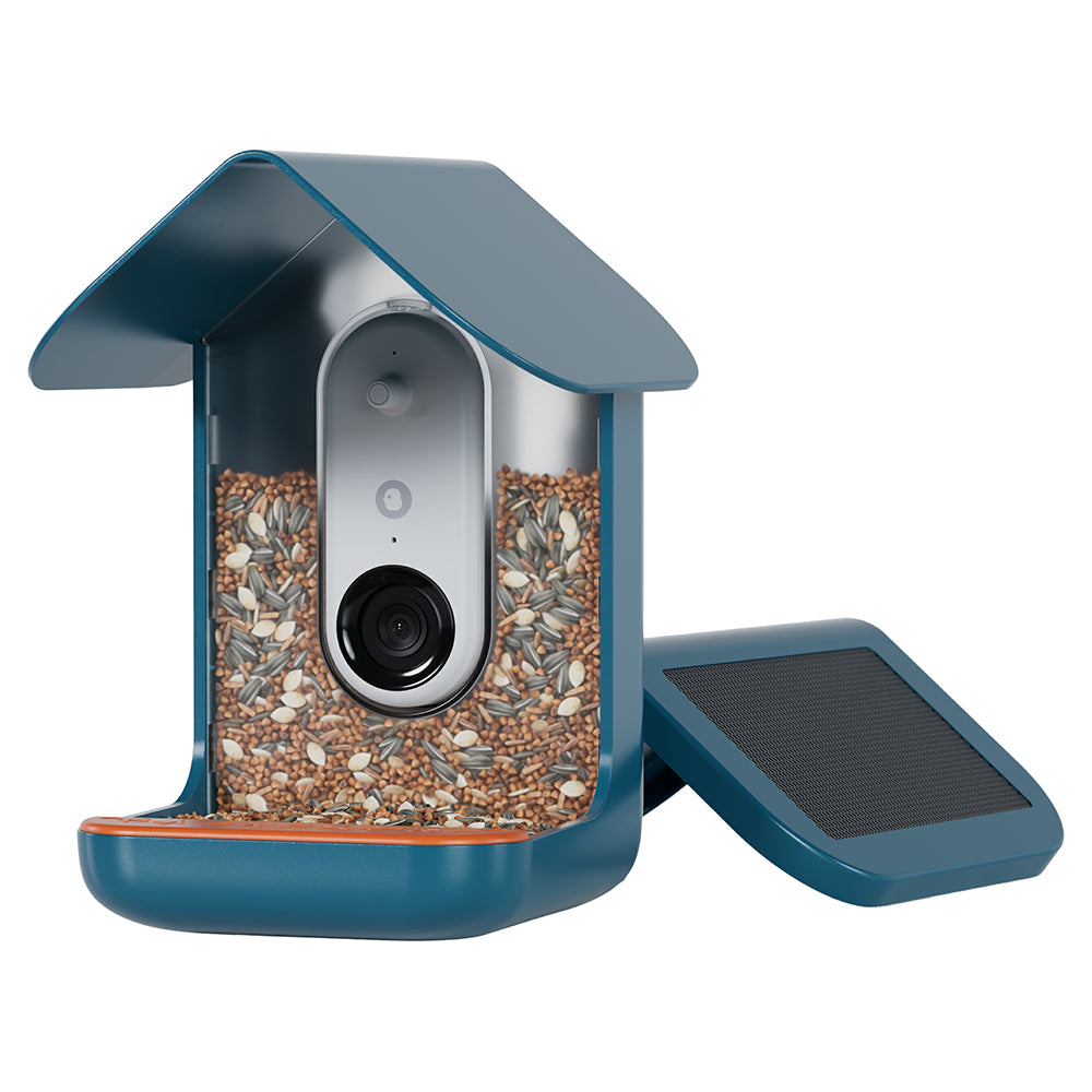 Birdbuddy Smart Bird Feeder - Blue | BBG1003BAD from Birdbuddy - DID Electrical