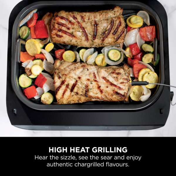 Ninja 6-In-1 Max 1760W Grill & Air Fryer - Grey & Silver | DG551UK from Ninja - DID Electrical