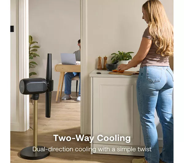 Dimplex 2-in-1 Cordless Bladeless Pedestal & Desk Fan - Black | DXACF002