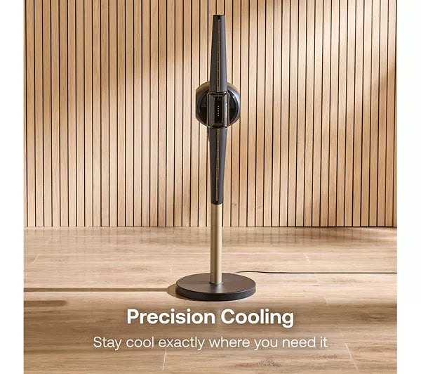 Dimplex 2-in-1 Cordless Bladeless Pedestal & Desk Fan - Black | DXACF002