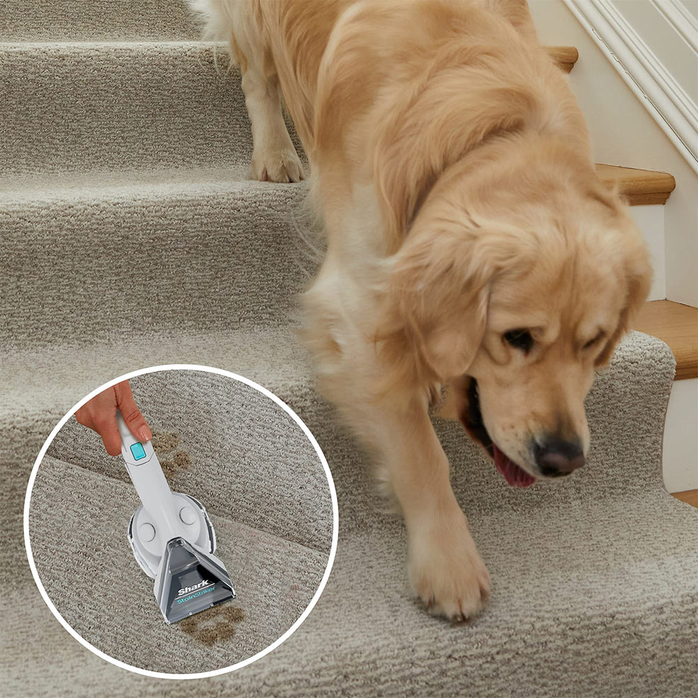 Shark CarpetXpert Built-In StainStriker Vacuum Cleaner - Rotator White | EX200uk from Shark - DID Electrical
