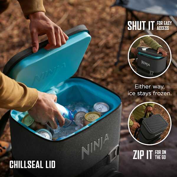 Ninja Ninja FrostVault Go 23L Backpack Soft Cooler - Charcoal Grey | FF136EUUKCG from Ninja - DID Electrical