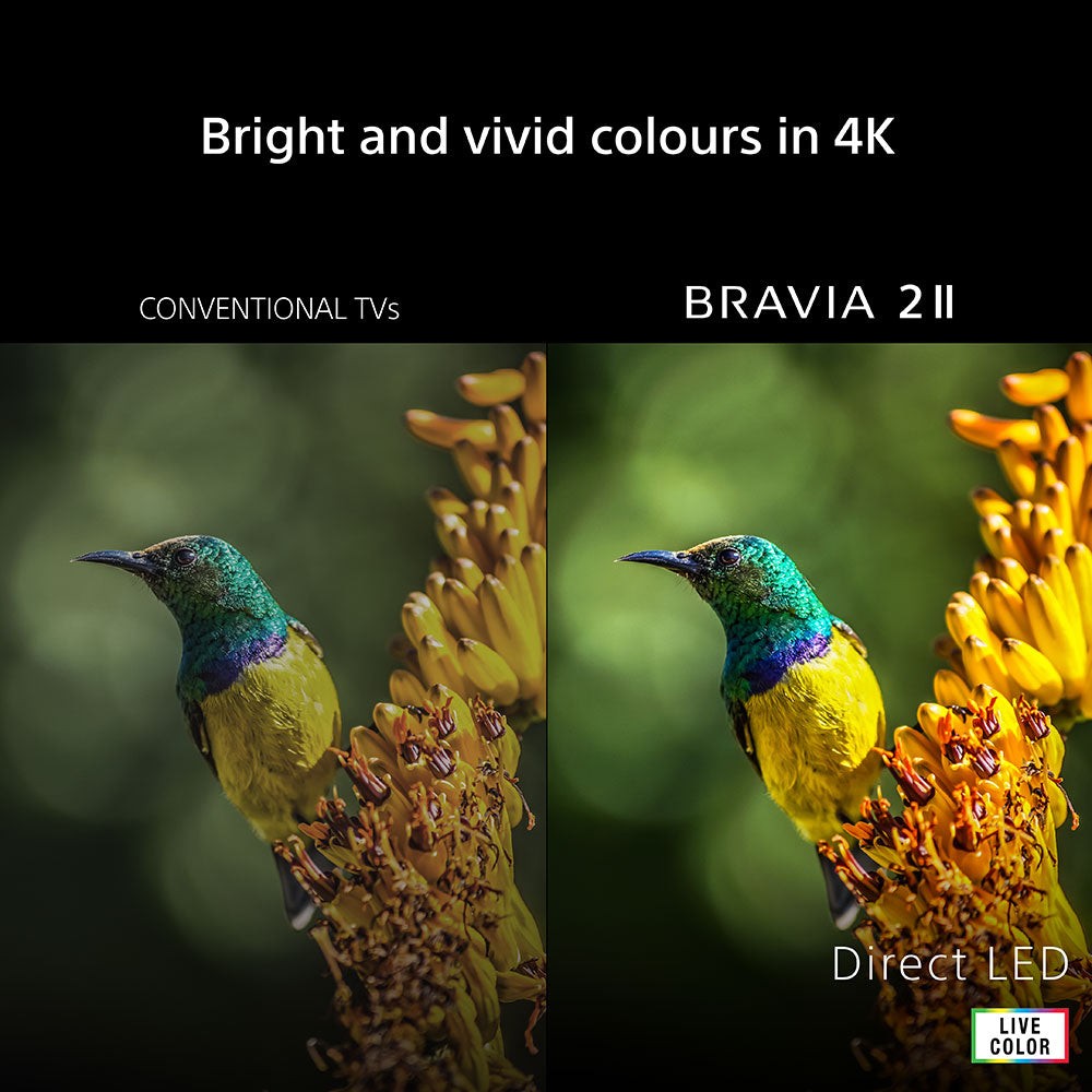 Sony Bravia 2 II 65" 4K Smart TV - Black | K65S25M2PB.UKA