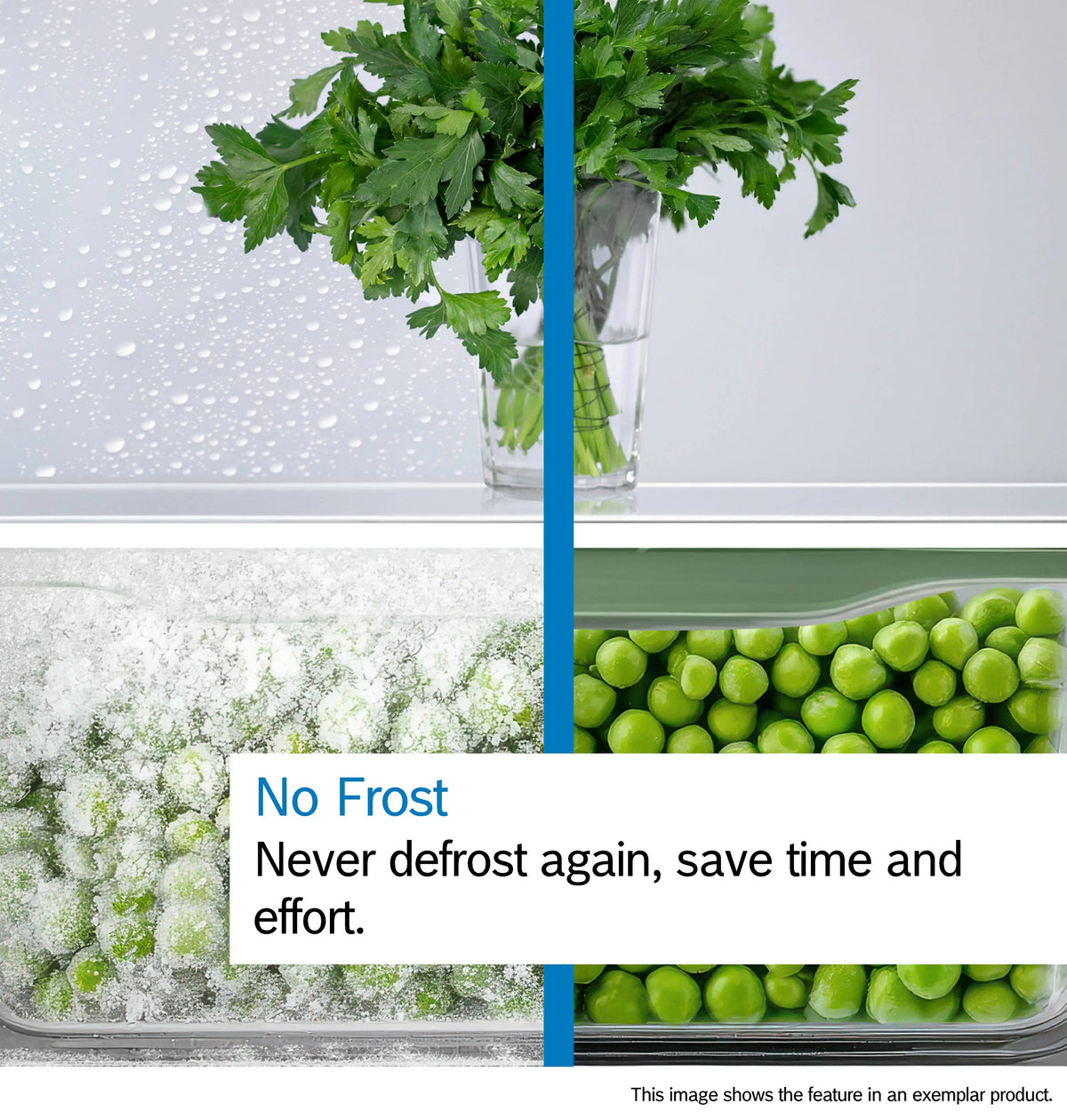 Bosch Series 2 282L Frost Free Freestanding Fridge Freezer - Stainless Steel | KGN33NLEBG