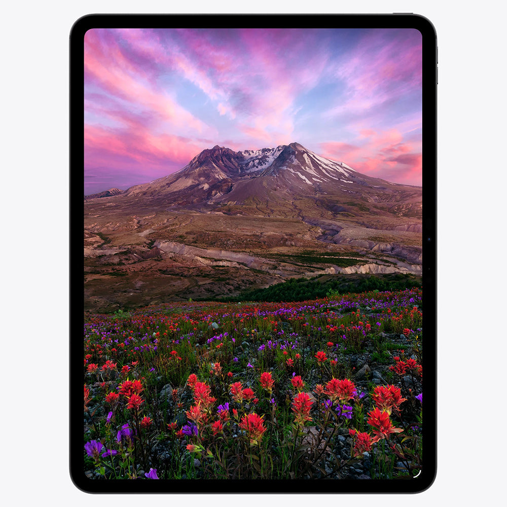 Apple iPad Pro 11" 256GB Wi-Fi Tablet with Standard Glass - Silver | MDWL4KN/A from Apple - DID Electrical