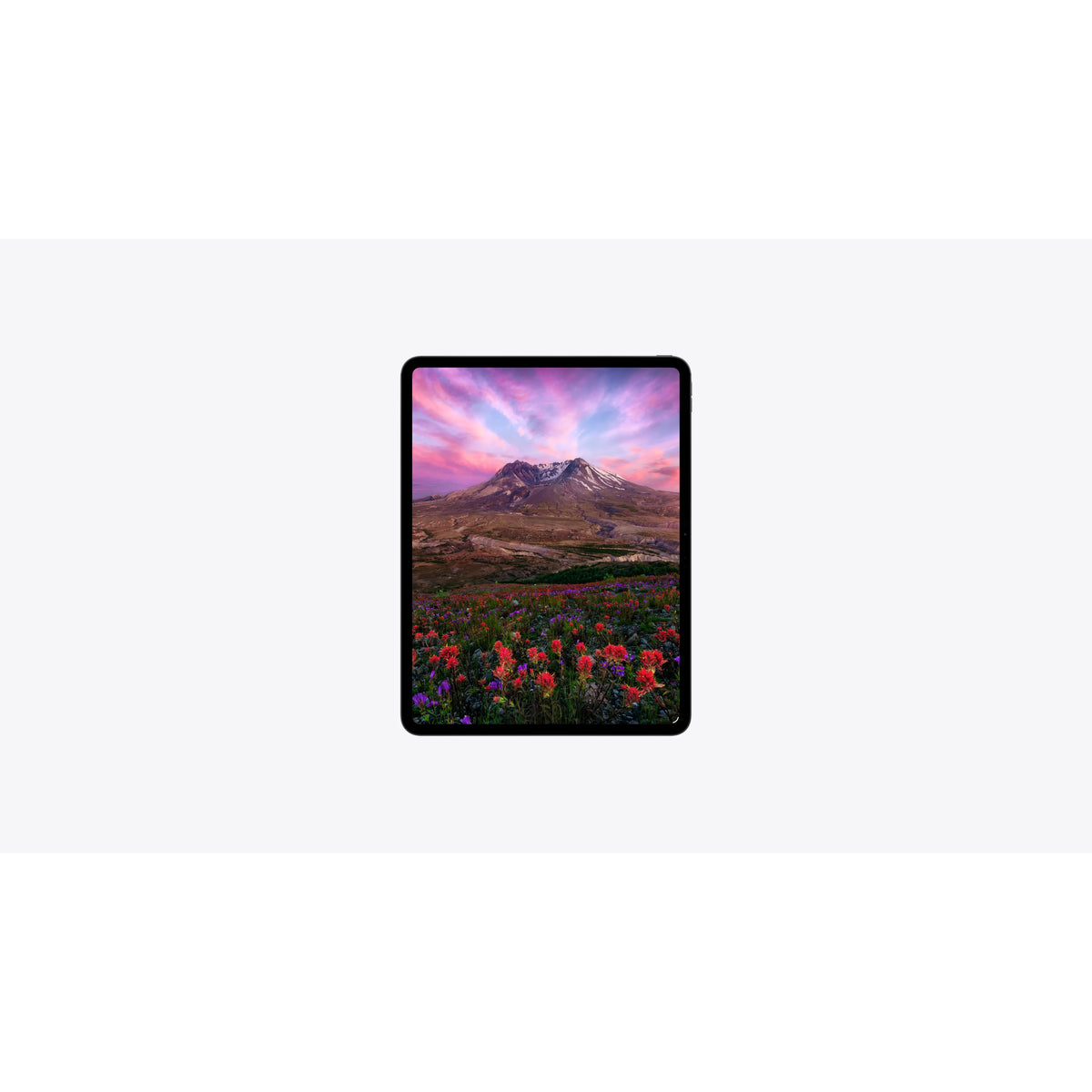 Apple iPad Pro 11" 256GB Wi-Fi Tablet with Standard Glass - Silver | MDWL4KN/A from Apple - DID Electrical