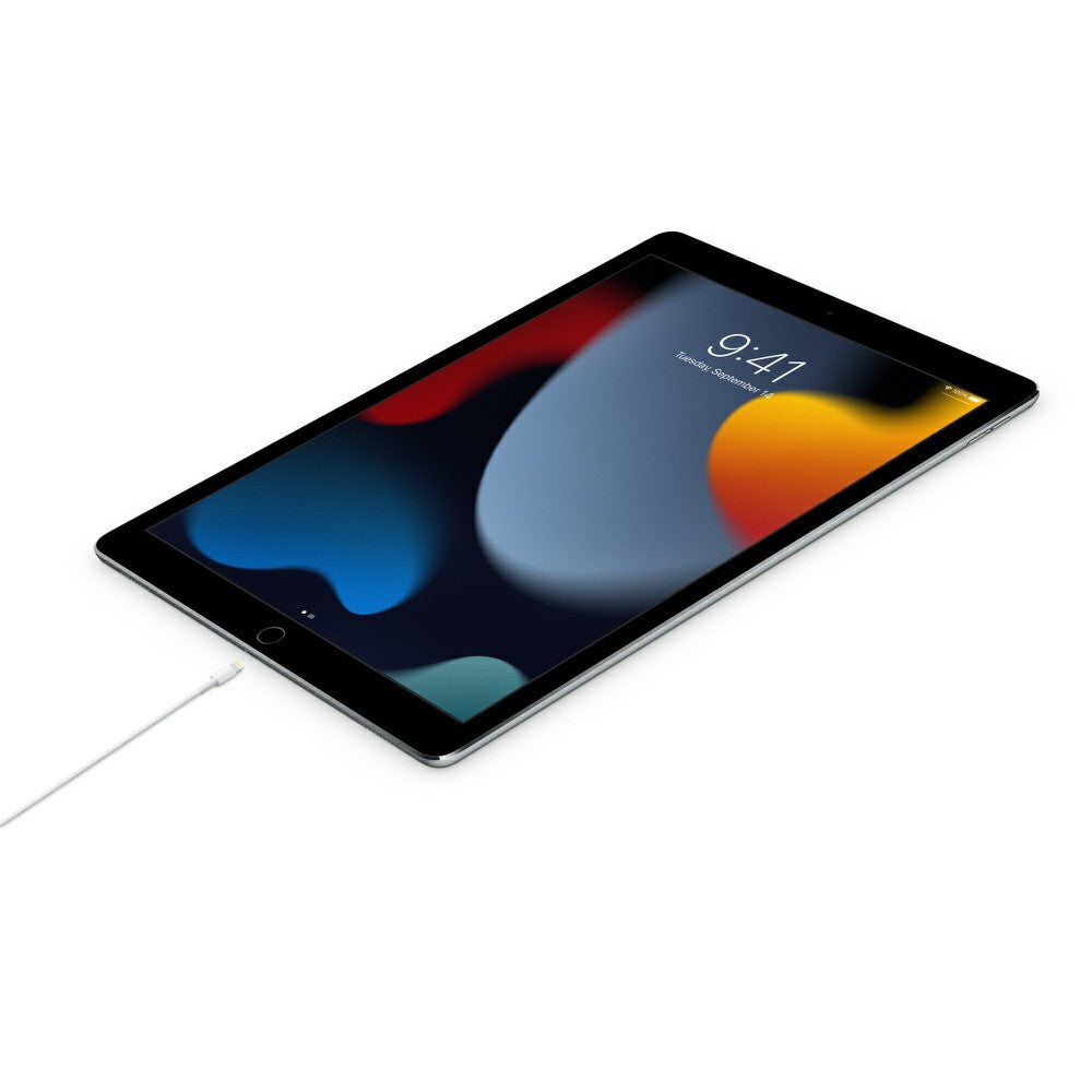 Apple 1M USB-C To Lightning Cable - White | MM0A3ZM/A from Apple - DID Electrical