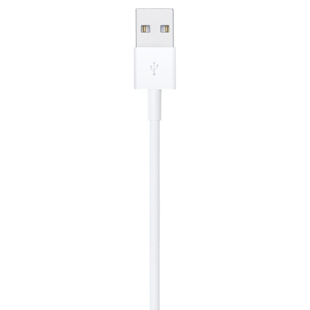 Apple 1M USB To Lightning Cable - White | MXLY2ZM/A from Apple - DID Electrical